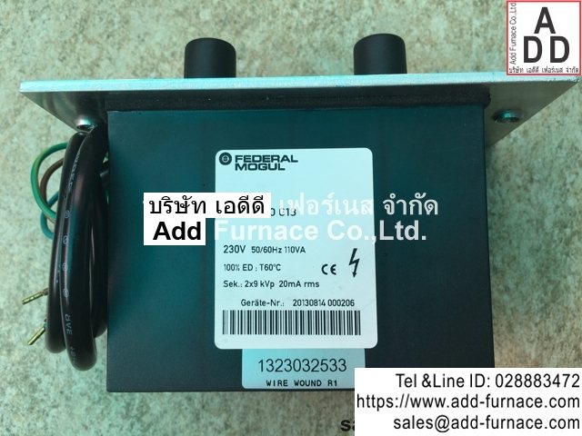 Beru Weishaupt W-ZG 02/2_Federal Mogul 009660018 (10)